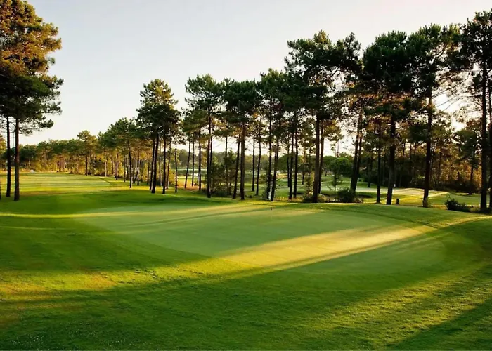 别墅 5br Golf & Pool In Caparica | By Airnest *